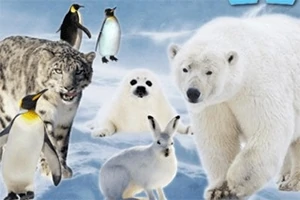 雪と氷の背景にシロクマ、ユキヒョウ、アザラシ、ペンギン、ウサギが集合しているシーン。