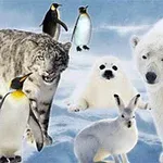 雪と氷の背景にシロクマ、ユキヒョウ、アザラシ、ペンギン、ウサギが集合しているシーン。