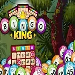 カラフルなビンゴボールとビンゴカードがジャングルの背景に配置された画像。