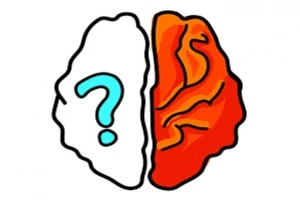半分は白に青いクエスチョンマークが描かれた脳、もう半分はオレンジ色の脳。