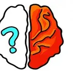 半分は白に青いクエスチョンマークが描かれた脳、もう半分はオレンジ色の脳。