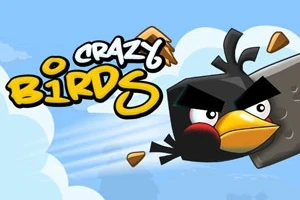 青空を背景に、怒った表情の黒い鳥と「CRAZY BIRDS」と書かれたテキスト。