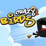 青空を背景に、怒った表情の黒い鳥と「CRAZY BIRDS」と書かれたテキスト。