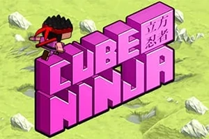ピンク色の立体文字「CUBE NINJA」と黒装束のキャラクターが草地の背景に描かれている。