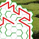 緑のフィールドを背景に、白い六角形のグリッド上に赤と緑の線が描かれている画像。