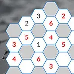 青い線で囲まれた六角形のグリッドに、赤と黒の数字が配置されているパズル。