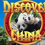 パンダ2匹が竹を食べている様子と中国風の建物が描かれたイラスト。