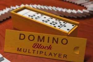 ドミノのピースが箱に収納された様子と「DOMINO Block MULTIPLAYER」と書かれた木製パネル。