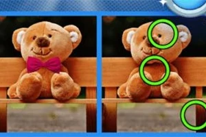 ベンチに座ったクマのぬいぐるみの二つの画像が並んでおり、右の画像には緑色の円で囲まれた違いが示されている。