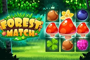 緑の森の中に配置されたキノコ、ドングリ、花、果物のイラストと左側に「FOREST MATCH」の文字があります。