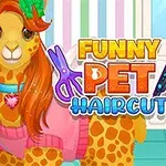 カラフルな背景の前に、ファンシーな衣装を着た動物二匹と「FUNNY PET HAIRCUT」という文字。