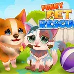 かわいらしい犬と猫が泥だらけで庭に立っている様子。