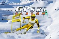 極限体験ができるGPスキースラローム