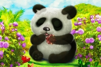キュートなパンダをお世話する動物メイクオーバーゲーム！