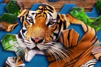 Hexa Jigsaw