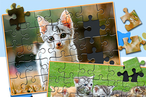 ジグソーパズルのピースがはめ込まれた、子猫の写真が描かれたイラスト。