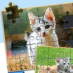 ジグソーパズルのピースがはめ込まれた、子猫の写真が描かれたイラスト。