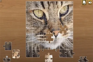 猫の写真を組み立てているジグソーパズルの画像。