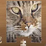 猫の写真を組み立てているジグソーパズルの画像。