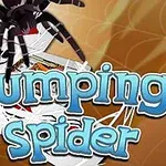 大きな蜘蛛がトランプの上に乗っていて、「Jumping Spider」という文字が前面に表示されている。