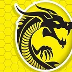 黄色の背景に黒いドラゴンのシルエットが描かれた図案。