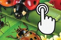 身軽さを試そう