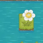 白い花びらと笑顔の顔がついた黄色い花が、水上の草のタイルに咲いている。