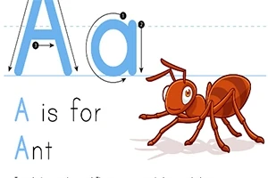 大文字と小文字の「A」とアリのイラスト。