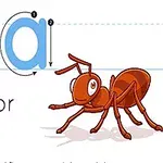 大文字と小文字の「A」とアリのイラスト。