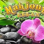ピンクのランの花が黒い石と緑の葉の上に置かれている画像。