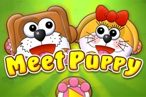 かわいらしい犬のキャラクターが2匹、緑色の背景に描かれており、「Meet Puppy」という文字が中央にある。