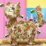 茶色い泥と葉っぱで汚れた猫が台の上に立っている。