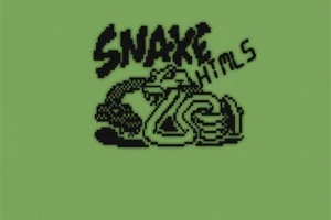 緑色の背景に黒い線で描かれた蛇と「SNAKE」の文字が目立つレトロなデザイン。