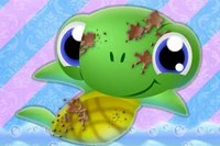 タートル・バスにカメの赤ちゃん！