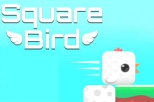 水色の背景に「Square Bird」と書かれた文字と、飛ぶ四角い白い鳥のイラスト。