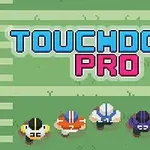 5人のアメリカンフットボール選手が芝生の上に並び、その上に「TOUCHDOWN PRO」の文字が表示されている。