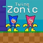 青とピンクのキャラクターが横に並んで立っており、背景に「Twins Zonic」の文字が表示されている。
