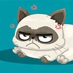 怒った表情をしているかわいいアニメ風の猫。