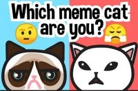 あなたのミーム猫を見つけよう: 絵文字クイズ