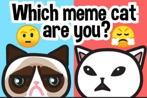 2匹の猫のイラストが、左側の猫は青の背景で不満顔、右側の猫は赤の背景で怒った顔。