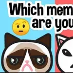 2匹の猫のイラストが、左側の猫は青の背景で不満顔、右側の猫は赤の背景で怒った顔。
